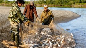 Окружающий мир 4 класс Перспектива. ТЕМА "В СОДРУЖЕСТВЕ С ПРИРОДОЙ" с.106-109