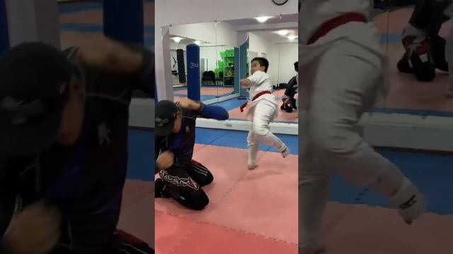 Amirali (10 old) #taekwondo #aikido #kickboxing #boxing #kids #kungfu