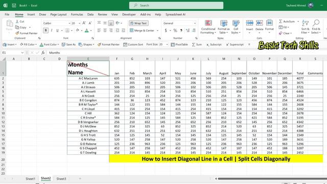 How to Insert Diagonal Line in a Cell—Split Cells Diagonally—Split cell in Excel