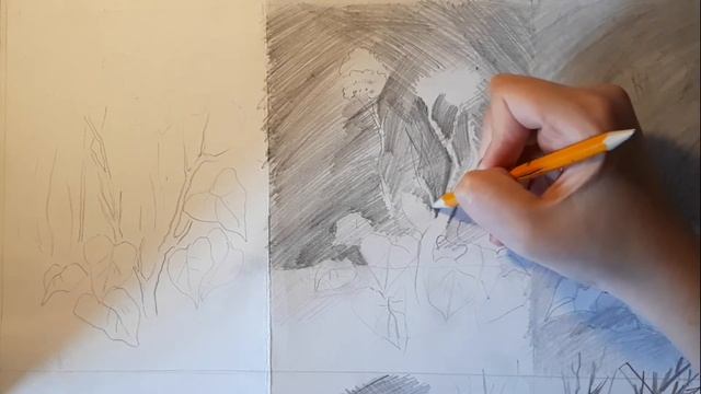 Юный иллюстратор. Занятие 1