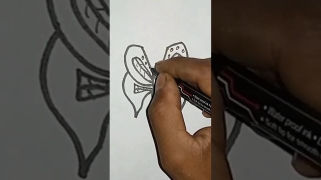 how to draw butterfly drawing Short video