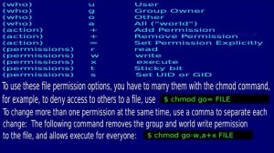 FreeBSD Basics: Permissions