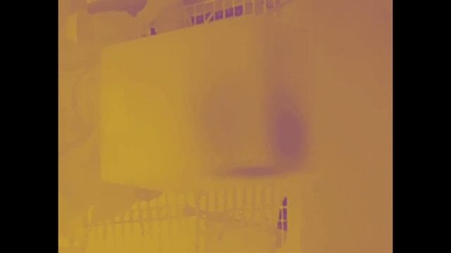 Что можно увидеть в тепловизор/ Краткий обзор тепловизора