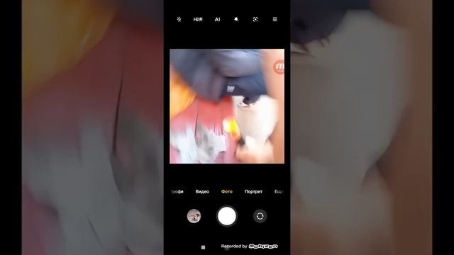 2 сентября 2023 г. смотреть онлайн