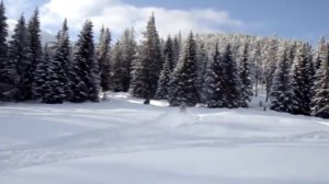 YAMAHA RX-1 MTX by Kemo