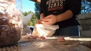 Профилактика кур от болезней