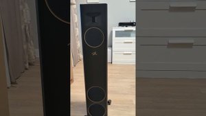 Martin Logan motion F20. Распаковка и краткий внешний обзор