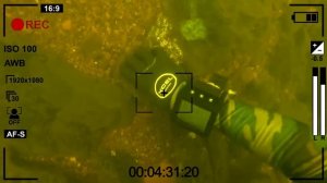 Нашёл в глубинах велосипед, старый телевизор, смартфон и кучу хлама?️