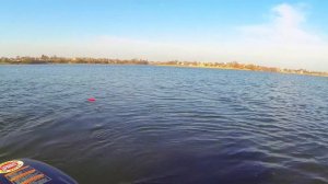 Ловля карпа на кружки(бутылку)