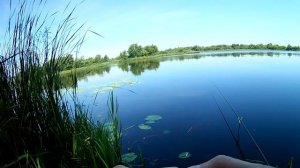 Ловля плотвы СЕКРЕТ АРОМАТИЗАТОРА
