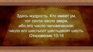 ШОУ СИДА РОТА «Это сверхъестественно!» АБСОЛЮТНО СВОБОДНА Дженни Уивер в студии