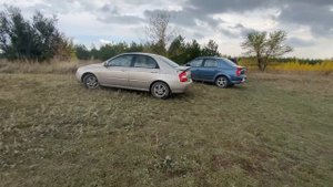 Kia cerato в лесу