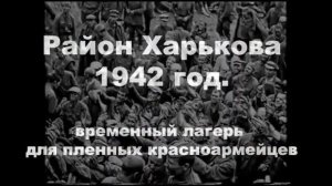 Томск. Людям бросают еду как собакам. А они кажется и рады.