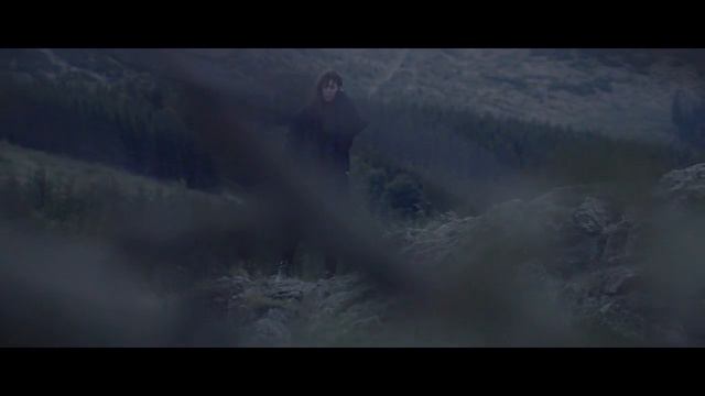 Дерево Джо / Joe's tree (Nymphomaniac Vol. 2) смотреть онлайн