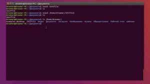 Команды терминала Linux. Урок 1. Основа работы с файлами