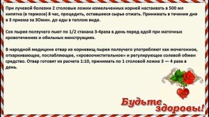 Пырей - Невероятные целебные свойства, о которых мало кто знает