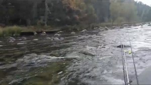 аэролодка Манёвр длина 4.5 метра ВМУ 35 лошадей