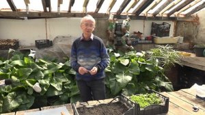 Сад Огород - выпуск 1