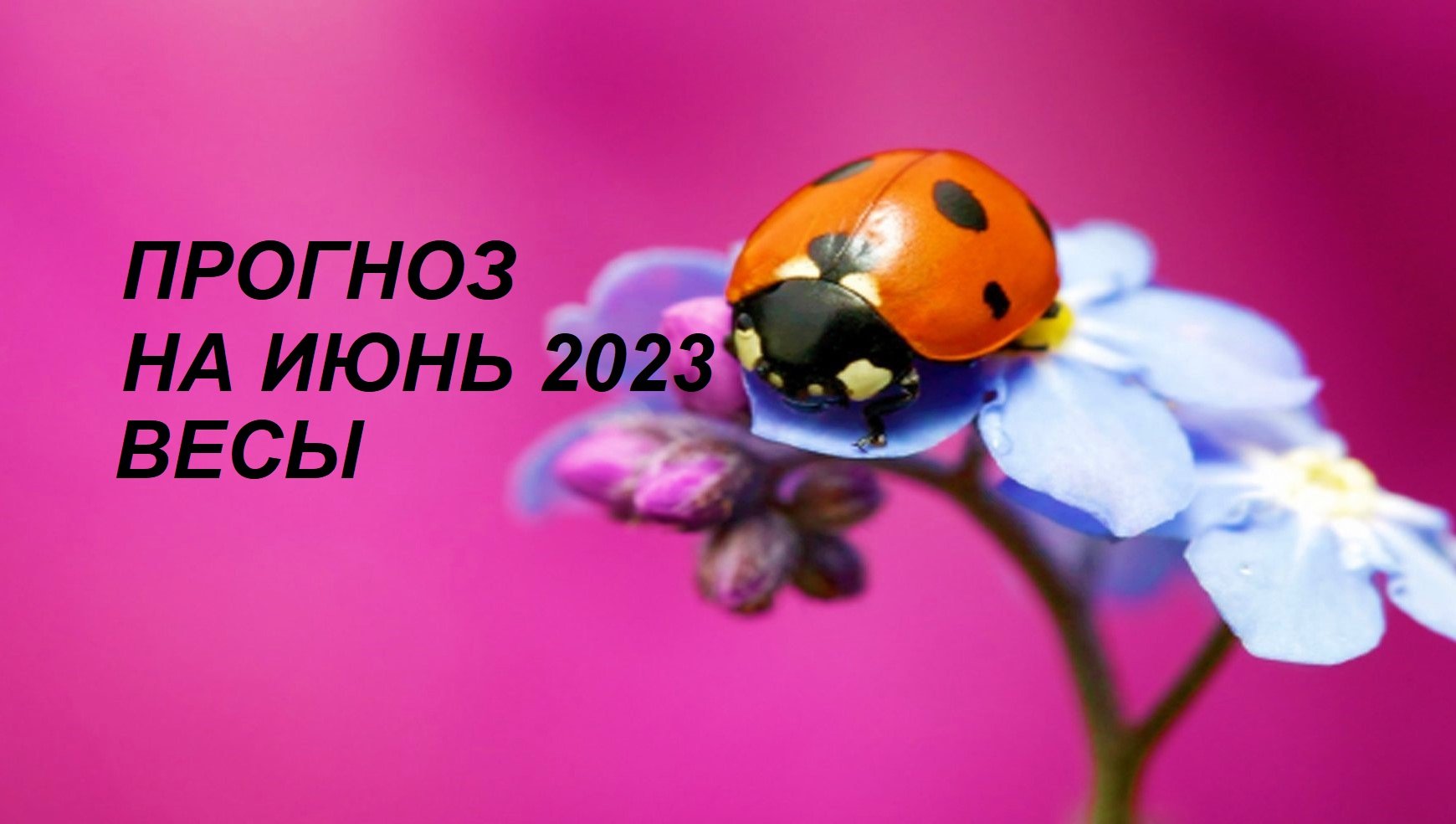 ♎ ВЕСЫ - ПРОГНОЗ на Июнь 2023 ⚖️ на картах #Ленорман