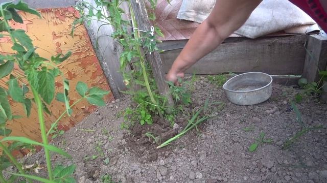 Асмр вечерняя работа в огороде. Жизнь в деревне. Life in the outback of Russia.