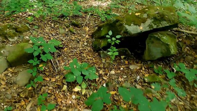 Девятнадцатое сентября. Прогулка к дольменам Кручённой щели смотреть онлайн