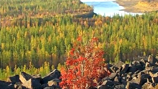 Колыбель таёжной дали, 3 часть.flv смотреть онлайн