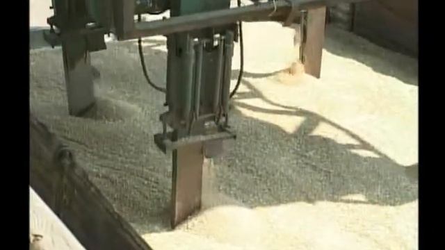 Хлеборобы области до сих пор не могут убрать урожай с 14 тысяч гектаров посевных площадей смотреть онлайн