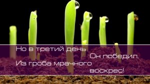 ц. Слово Благодати.  В Христе одном надежда есть