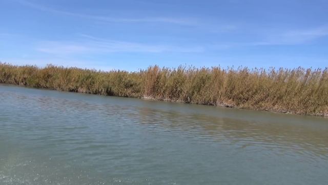 Рыбалка и охота на Балхаше. Ловля сазана с лодки смотреть онлайн