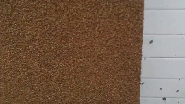 уникальное жидкое пробковое покрытие nanoCORK смотреть онлайн