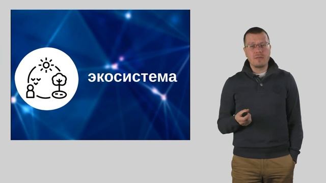 Что такое оптимизация сайта? | Digital-маркетинг каналы и инструменты