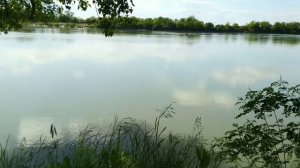 В станицу Елизаветинскую к  реке Кубань