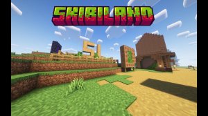 Выживание на сервере Skibiland!