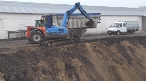 Котлован под лагуну на свинокомплексе