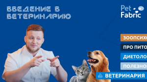 Введение в ветеринарию.