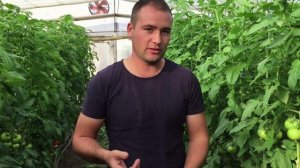 Философия работы АгроДвиж - 3я часть