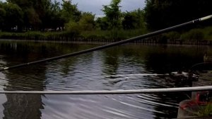 КРУПНЫЙ КАРАСЬ В МОСКВЕ! 11 ИЮНЯ 2018. ЛОВЛЯ КАРАСЯ, ХЕРАБУНА, ЮЖНОЕ БУТОВО, ЧЕРНЕВСКИЙ ПРУД.