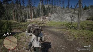 Red Dead Redemption 2_-Охота на Канадского бобра (4 глава )