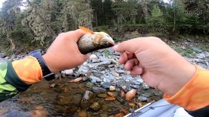 Вверх по горной реке на водомете/Туристы выживальщики на рыбалке/Жарим хариуса на костре/Бирюкса #2