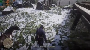 Red Dead Redemption 2 Intel UHD G4 i3-1115G4