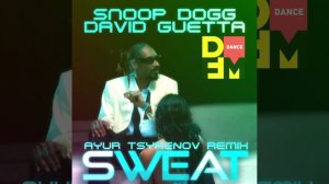 Snoop Dogg & David Guetta — Sweat (Ayur Tsyrenov DFM remix)