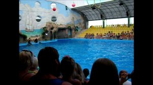 ОДЕССА-Дельфинарий 24.07.210