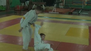 На оранжевый пояс по дзюдо