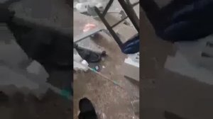 В США ребёнок разгромил свой собственный дом из-за того, что мама отобрала у него телефон.