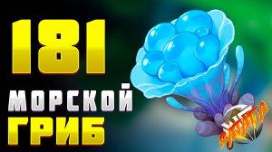 МОРСКОЙ ГРИБ Геншин импакт Где купить морской гриб Где найти морской гриб Геншин импакт