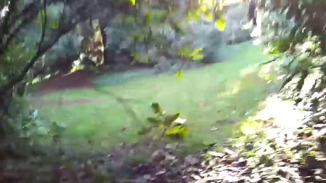 Viretta Park Kurt Cobain's house Seattle смотреть онлайн