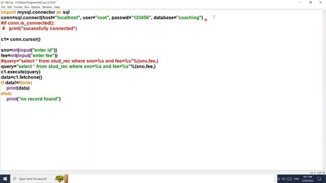 PARAMETERIZED QUERIES | HOW TO TAKE INPUT FROM USER | INTERFACE PYTHON WITH MYSQL | CBSE-XII | CS