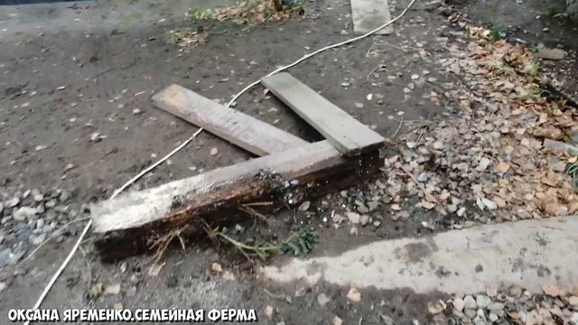 ПОЛНЫЙ РАЗГРОМ / Такого вы ещё не видели смотреть онлайн