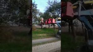 Обрезчик деревьев GREEN LINE 185