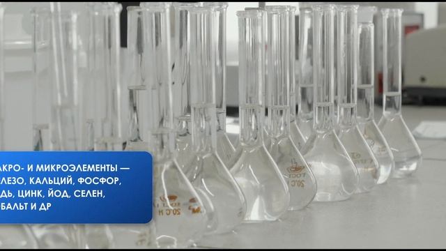 Мегакорм от ГК МЕГАМИКС. Идеальный выбор для фермеров смотреть онлайн